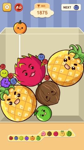 Fruit Merge